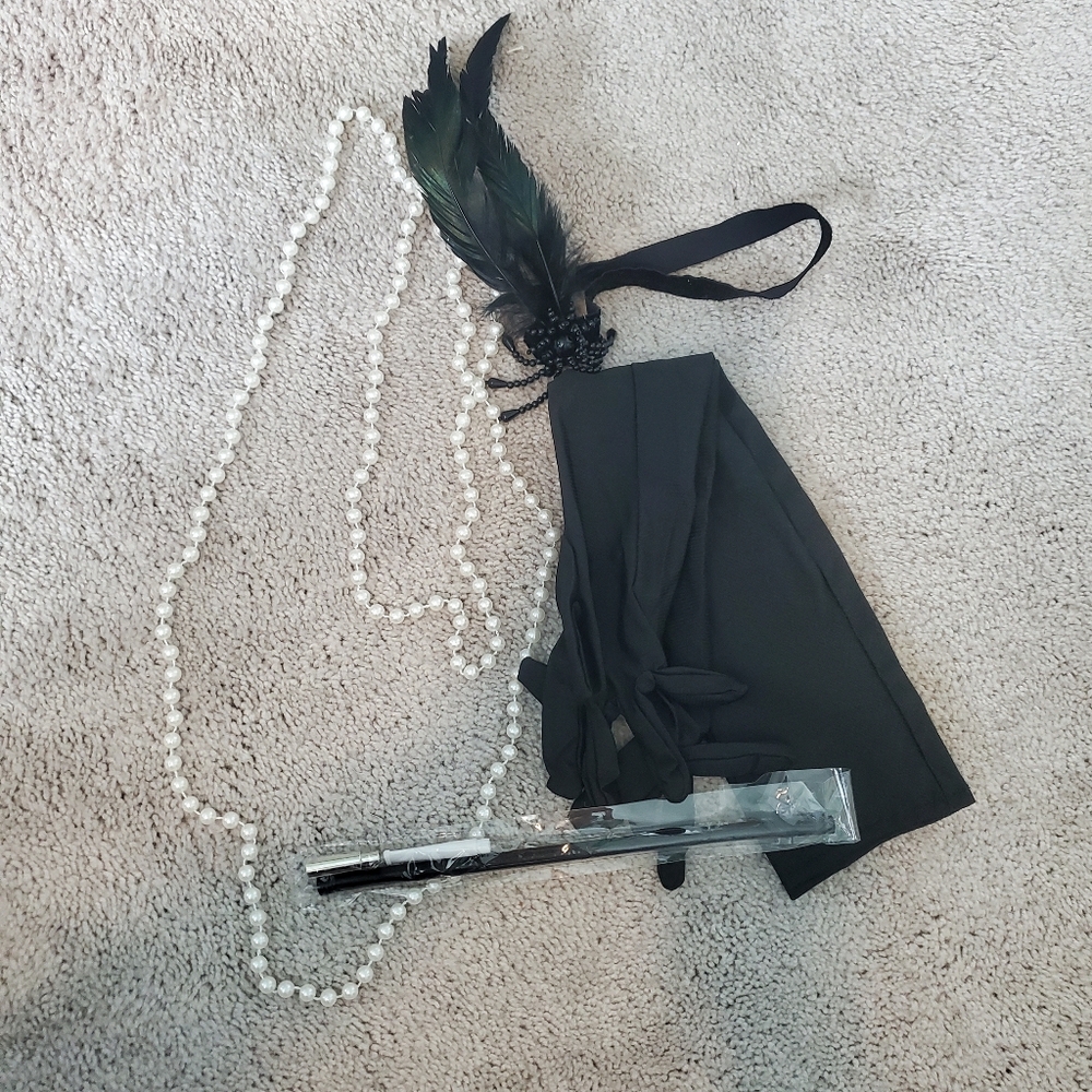 Great Gatsby Flapper Dress - Picture 4 of 4